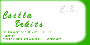 csilla brkits business card